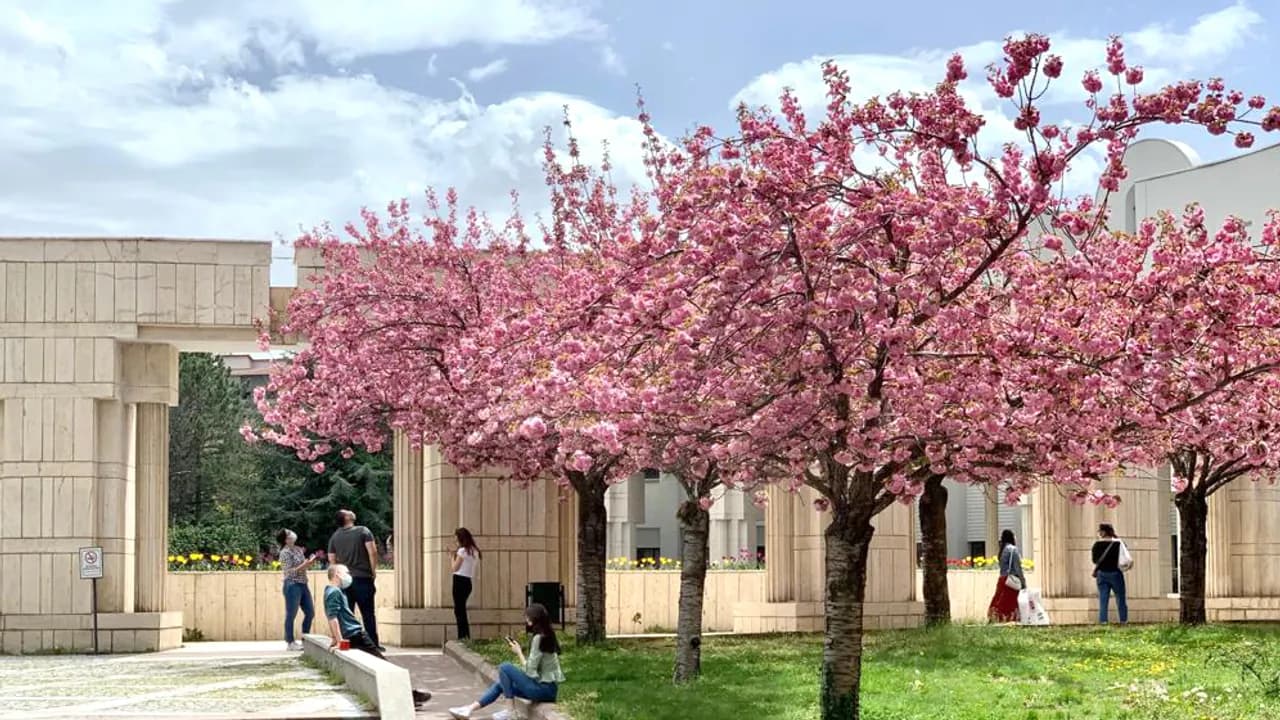 İhsan Doğramacı Bilkent Üniversitesi kampüsü